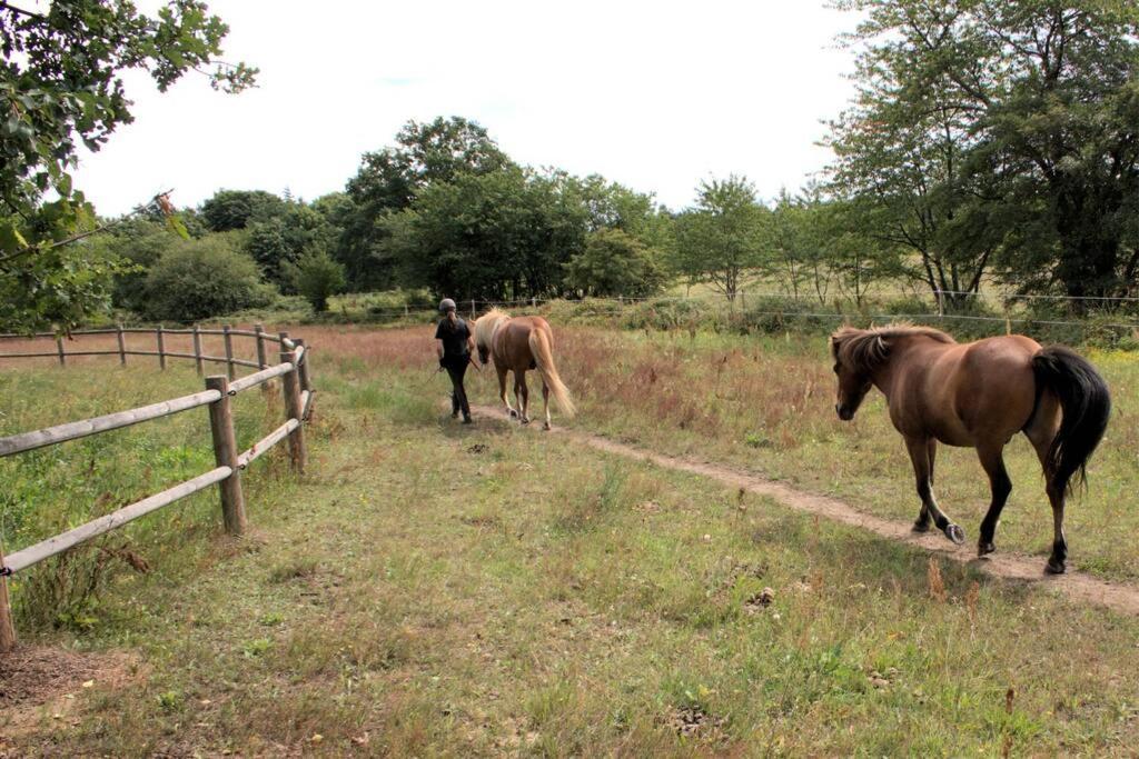 Oak Cottage Near Ronne & Beach מראה חיצוני תמונה